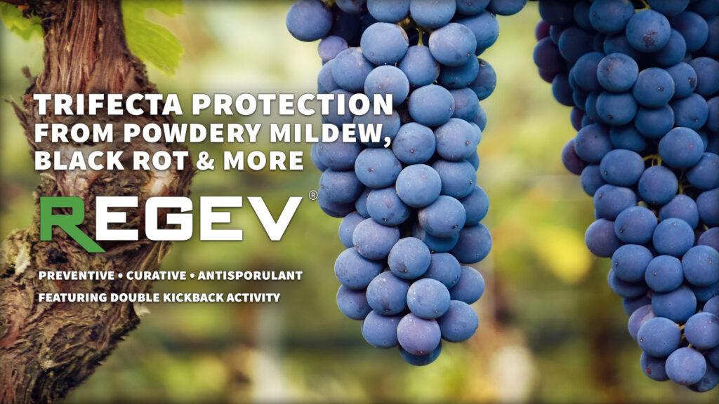 continuing-education