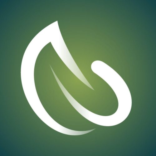 CAPCA Logo with Shaded BG Square